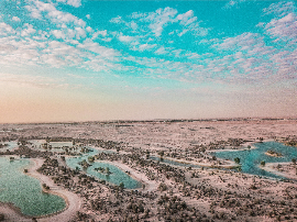 Descubre el Oasis de Sabor: Análisis Positivos del Néctar Oasis